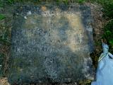image of grave number 568463